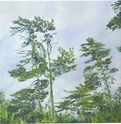 Pines #1-5, 2008-2009