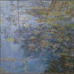 Pond Water II 4