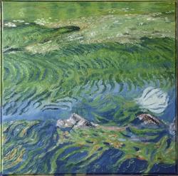 Pond Water V 4