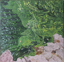 Pond Water V 5