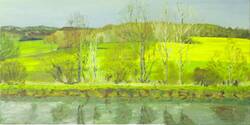 Rapeseed Fields 3