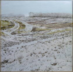 Snow II #1-, 2021-2024