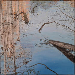 Soignes Woods 1