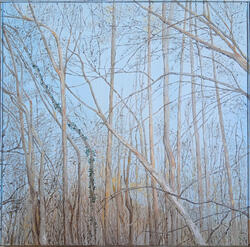 Soignes Woods 3