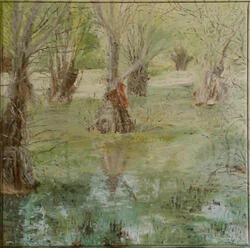 Trees in water 4