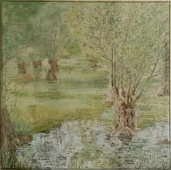 Trees in water 5